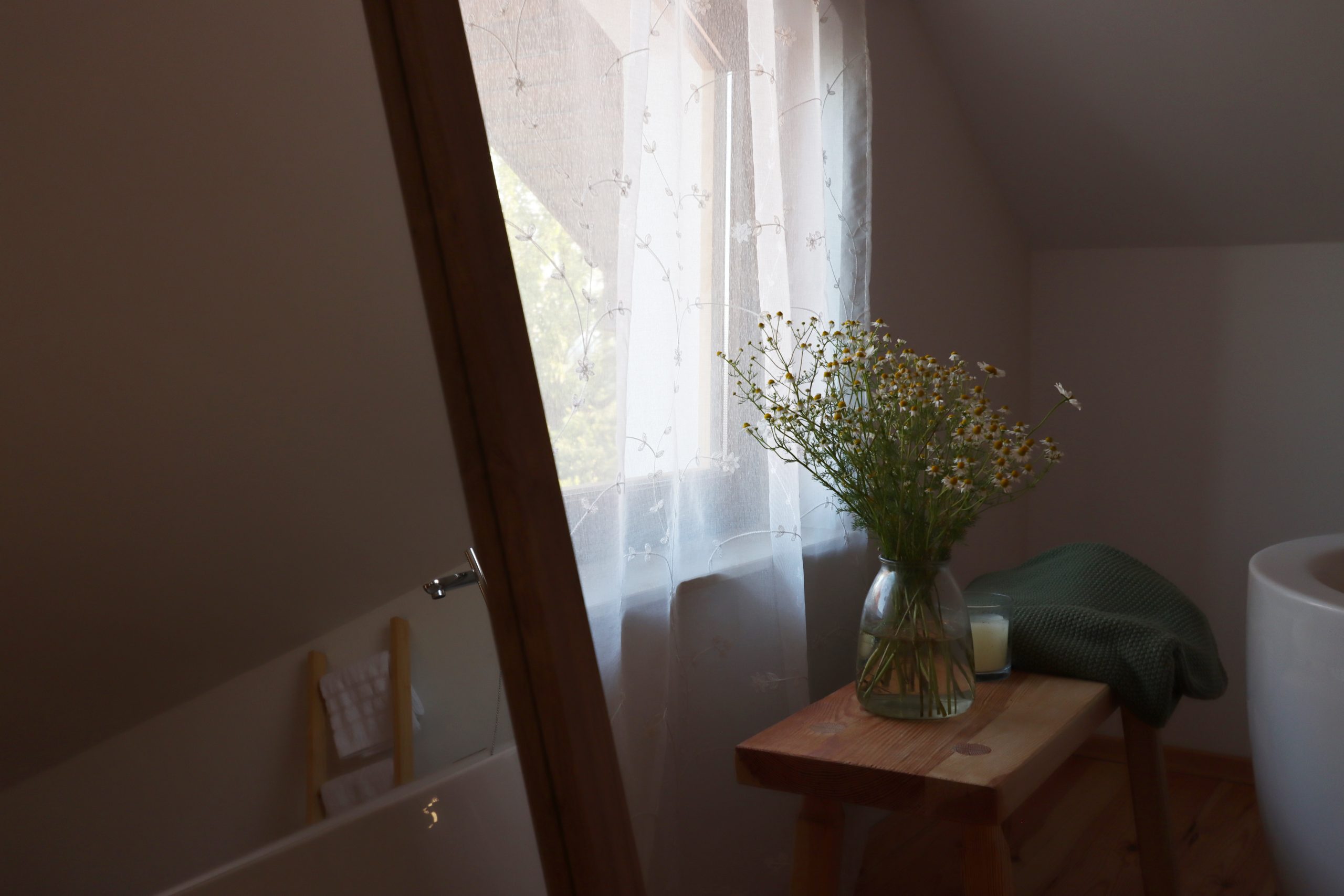 Hiška pod Klumpo - detajl